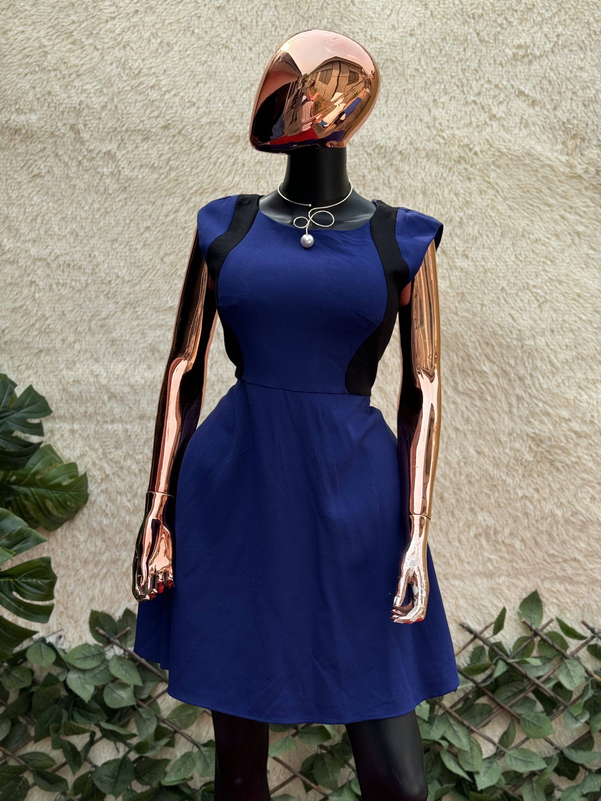 img_6755 FrenchConnect Skater Dress - Image 1
