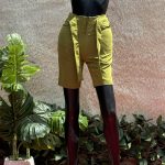 Casual Ladies Shorts